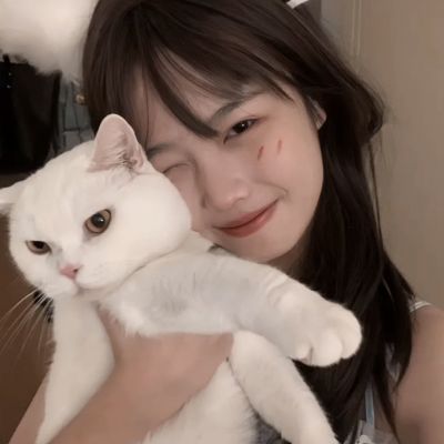 龙魂之剑破解版下载