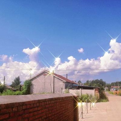 恐龙学音乐最新版下载